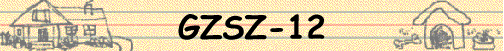 GZSZ-12